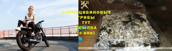 первитин Тында