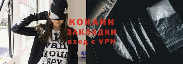 шишки Бронницы