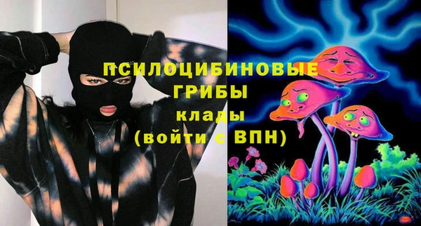 соль ск Верея