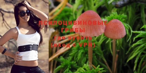 молекула духа Тутаев