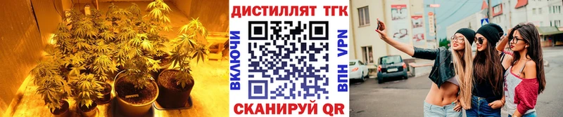 Дистиллят ТГК THC oil  Среднеколымск 